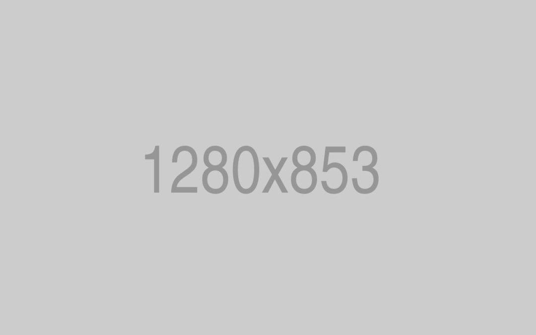 BMW Engine Repairing 7