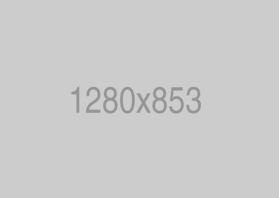 BMW Engine Repairing 5